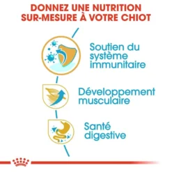 Royal Canin Boxer Puppy 12kg -Doux Museau Soldes Magasin fre pl Royal Canin Boxer Puppy 12kg 9124 5