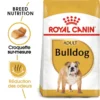 Royal Canin Bulldog Adult 12kg 2 Royal Canin Bulldog Adult 12kg -Doux Museau Soldes Magasin fre pl Royal Canin Bulldog Adult 12kg 9130 1