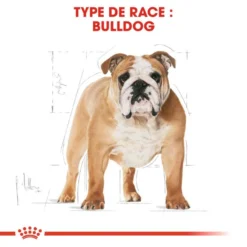 Royal Canin Bulldog Adult 12kg 10 Royal Canin Bulldog Adult 12kg -Doux Museau Soldes Magasin fre pl Royal Canin Bulldog Adult 12kg 9130 3