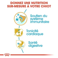 Royal Canin Cavalier King Charles Spaniel Puppy 1,5kg -Doux Museau Soldes Magasin fre pl Royal Canin Cavalier King Charles Spaniel Puppy 1 5kg 9177 4