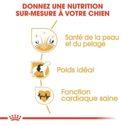 Royal Canin Cocker Spaniel Adult 12kg -Doux Museau Soldes Magasin fre pl Royal Canin Cocker Spaniel Adult 12kg 9147 4