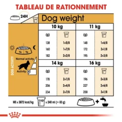 Royal Canin Cocker Spaniel Adult 12kg -Doux Museau Soldes Magasin fre pl Royal Canin Cocker Spaniel Adult 12kg 9147 5
