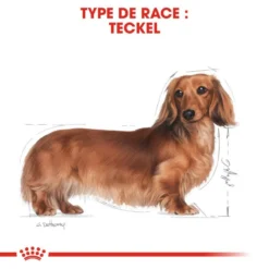 Royal Canin Dachshund Adult 7,5kg -Doux Museau Soldes Magasin fre pl Royal Canin Dachshund Adult 7 5kg 9149 6