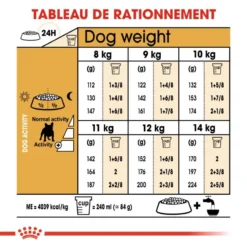 Royal Canin French Bulldog Adult 9kg -Doux Museau Soldes Magasin fre pl Royal Canin French Bulldog Adult 9kg 9161 1