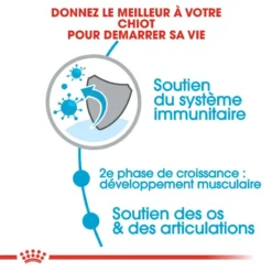 Royal Canin Giant Junior 15kg -Doux Museau Soldes Magasin fre pl Royal Canin Giant Junior 15kg 9205 4