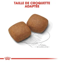 Royal Canin Giant Junior 15kg -Doux Museau Soldes Magasin fre pl Royal Canin Giant Junior 15kg 9205 5