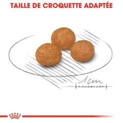 Royal Canin X-Sm Small Adulte 1,5kg 10 Royal Canin X-Sm Small Adulte 1,5kg -Doux Museau Soldes Magasin fre pl Royal Canin X Sm Small Adulte 1 5kg 11032 3