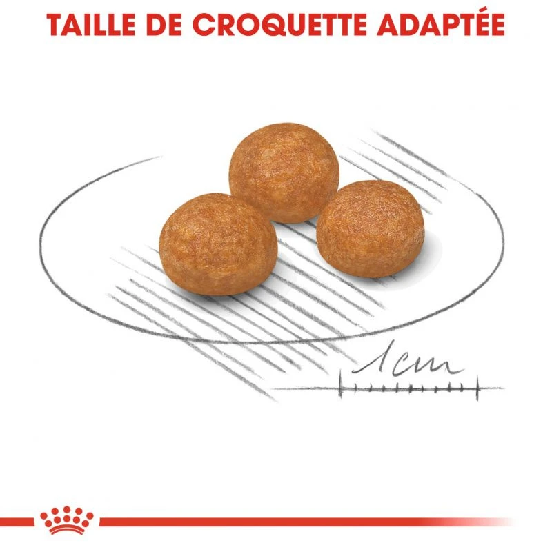 Royal Canin X-Sm Small Adulte 1,5kg 5 Royal Canin X-Sm Small Adulte 1,5kg – Image 3