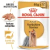 Royal Canin Yorkshire Terrier Adult 12x85g -Doux Museau Soldes Magasin fre pl Royal Canin Yorkshire Terrier Adult 12x85g 9108 1