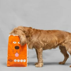 TOMOJO CROQUETTES CHIEN ADULTE 2kg -Doux Museau Soldes Magasin fre pl TOMOJO CROQUETTES CHIEN ADULTE 2kg 12302 3