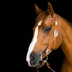 TickLess Cheval Sans Tique - Marron -Doux Museau Soldes Magasin fre pl TickLess Cheval sans tique marron 26621 3