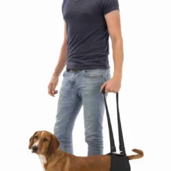 Trixie Harnais De Rééducation Pour Chiens Jusqu'à 35kg Noir L -Doux Museau Soldes Magasin fre pl Trixie Harnais de reeducation pour chiens jusqua 35kg Noir L 16259 2