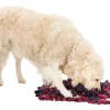 Trixie Jeu D'activité Sniffing Carpet 50x34cm -Doux Museau Soldes Magasin fre pl Trixie Jeu dactivite Sniffing Carpet 50x34cm 11554 1