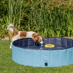 Trixie Piscine Pour Chien 80x20cm -Doux Museau Soldes Magasin fre pl Trixie Piscine pour chien 80x20cm 16389 5