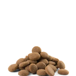 VERSELE-LAGA Opti Life Adult Maxi 12,5kg Au Poulet Pour Grandes Races 8 VERSELE-LAGA Opti Life Adult Maxi 12,5kg Au Poulet Pour Grandes Races -Doux Museau Soldes Magasin fre pl VERSELE LAGA Opti Life Adult Maxi 12 5kg au poulet pour grandes races 15486 3