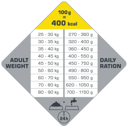 VERSELE-LAGA Opti Life Adult Maxi 12,5kg Au Poulet Pour Grandes Races 6 VERSELE-LAGA Opti Life Adult Maxi 12,5kg Au Poulet Pour Grandes Races – Image 4