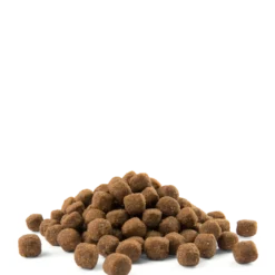 VERSELE-LAGA Opti Life Adulte Medium Au Poulet 2.5kg -Doux Museau Soldes Magasin fre pl VERSELE LAGA Opti Life Adulte Medium au Poulet 2 5kg 15487 3