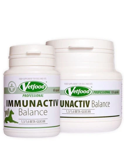 VETFOOD Immunactiv Balance 60 Capsules 4 VETFOOD Immunactiv Balance 60 Capsules – Image 2