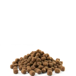 Versele-Laga Opti Life Adult Skin Care Mini Au Saumon 7.5kg 8 Versele-Laga Opti Life Adult Skin Care Mini Au Saumon 7.5kg -Doux Museau Soldes Magasin fre pl Versele Laga Opti Life Adult Skin Care Mini au saumon 7 5kg 15490 3