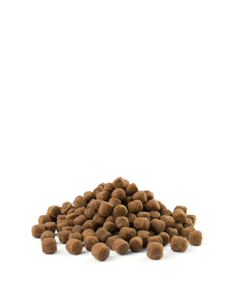 Versele-Laga Opti Life Adult Skin Care Mini Au Saumon 7.5kg 5 Versele-Laga Opti Life Adult Skin Care Mini Au Saumon 7.5kg – Image 3