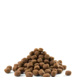 Versele-Laga Opti Life Puppy Maxi Au Poulet 12.5kg -Doux Museau Soldes Magasin fre pl Versele Laga Opti Life Puppy Maxi au poulet 12 5kg 15491 3