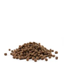 Versele-Laga Opti Life Puppy Mini Avec Poulet Pour Petites Races 2,5kg -Doux Museau Soldes Magasin fre pl Versele Laga Opti Life Puppy Mini avec poulet pour petites races 2 5kg 17019 3