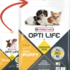 Versele-Laga Opti Life Puppy Mini Pour Petites Races Poulet Et Riz 7,5kg 1 Versele-Laga Opti Life Puppy Mini Pour Petites Races Poulet Et Riz 7,5kg -Doux Museau Soldes Magasin fre pl Versele Laga Opti Life Puppy Mini pour petites races Poulet et Riz 7 5kg 15493 1