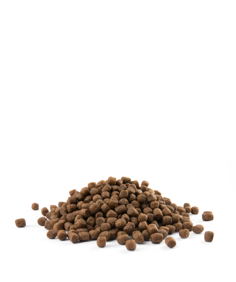 Versele-Laga Opti Life Puppy Mini Pour Petites Races Poulet Et Riz 7,5kg 5 Versele-Laga Opti Life Puppy Mini Pour Petites Races Poulet Et Riz 7,5kg – Image 3