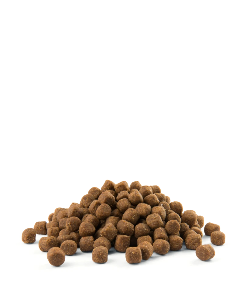 Versele-Laga Opti Life Puppy Sensitive Saumon Au Riz 2.5kg 5 Versele-Laga Opti Life Puppy Sensitive Saumon Au Riz 2.5kg – Image 3