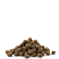 Versele-Laga Opti Life Senior Medium & Maxi Poulet Avec Riz Pour Moyennes Et Grandes Races De Plus De 7 Ans 12,5kg 6 Versele-Laga Opti Life Senior Medium & Maxi Poulet Avec Riz Pour Moyennes Et Grandes Races De Plus De 7 Ans 12,5kg -Doux Museau Soldes Magasin fre pl Versele Laga Opti Life Senior Medium Maxi Poulet avec riz pour moyennes et grandes races de plus de 7 ans 12 5kg 15494 2