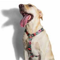 ZEE DOG Mahalo L Harnais Pour Chien -Doux Museau Soldes Magasin fre pl ZEE DOG Mahalo L harnais pour chien 22198 2