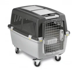 Zolux Transporteur Gulliver 4 IATA 51x71x50cm